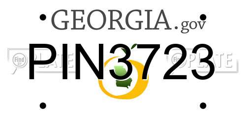 PIN3723 Georgia License Plate