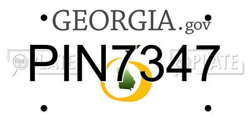 PIN7347 Georgia License Plate