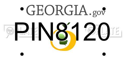 PIN8120 Georgia License Plate