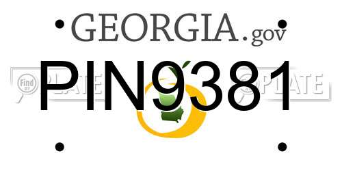PIN9381 Georgia License Plate
