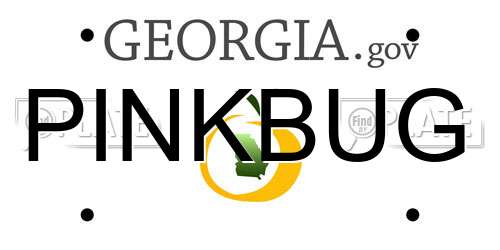 PINKBUG Georgia License Plate