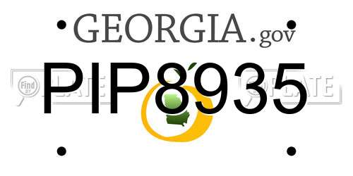 PIP8935 Georgia License Plate