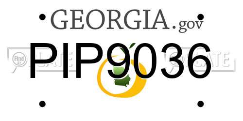 PIP9036 Georgia License Plate