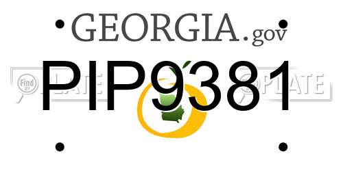 PIP9381 Georgia License Plate