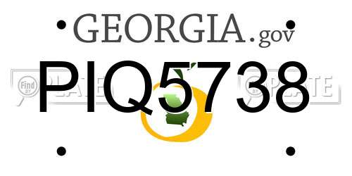PIQ5738 Georgia License Plate