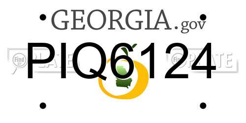 PIQ6124 Georgia License Plate