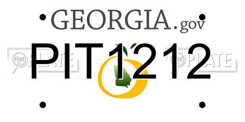 PIT1212 Georgia License Plate