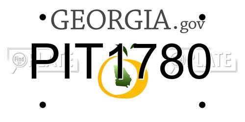 PIT1780 Georgia License Plate