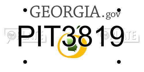 PIT3819 Georgia License Plate