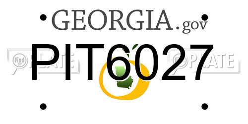 PIT6027 Georgia License Plate