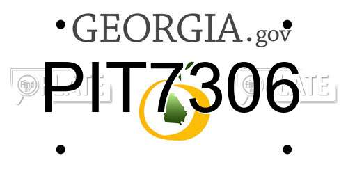 PIT7306 Georgia License Plate