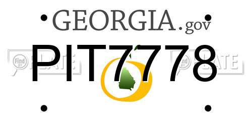 PIT7778 Georgia License Plate