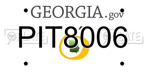 PIT8006 Georgia License Plate