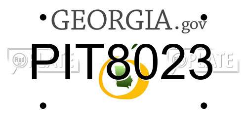PIT8023 Georgia License Plate