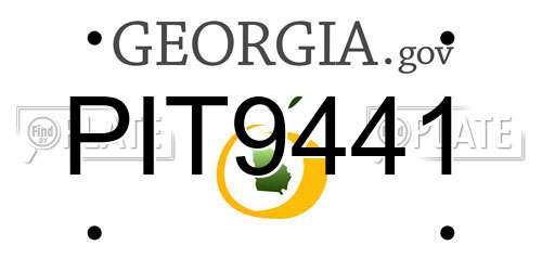 PIT9441 Georgia License Plate