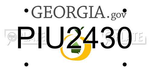 PIU2430 Georgia License Plate