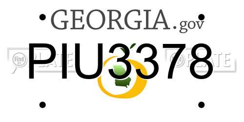 PIU3378 Georgia License Plate