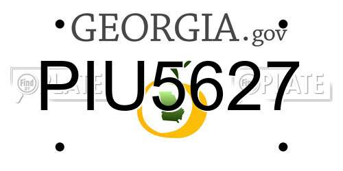 PIU5627 Georgia License Plate