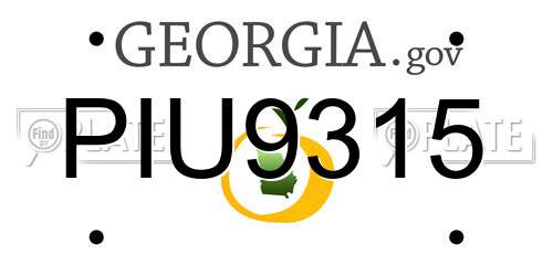 PIU9315 Georgia License Plate