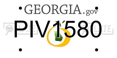 PIV1580 Georgia License Plate