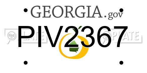 PIV2367 Georgia License Plate