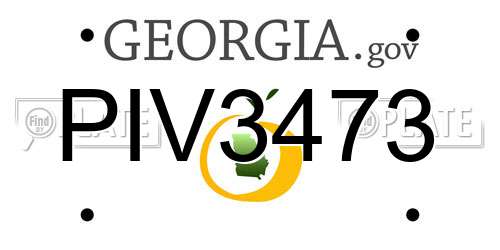 PIV3473 Georgia License Plate