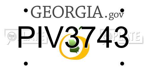 PIV3743 Georgia License Plate