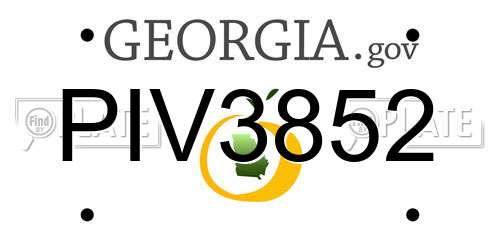 PIV3852 Georgia License Plate