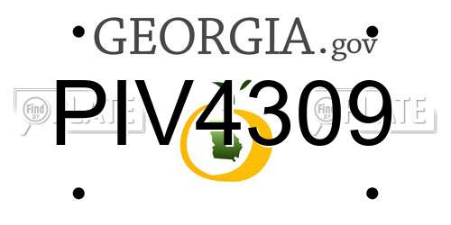 PIV4309 Georgia License Plate