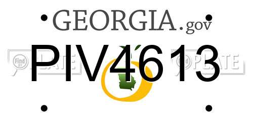 PIV4613 Georgia License Plate
