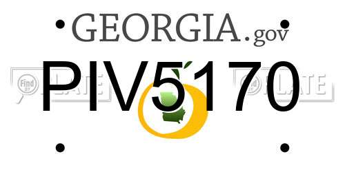 PIV5170 Georgia License Plate