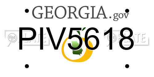PIV5618 Georgia License Plate