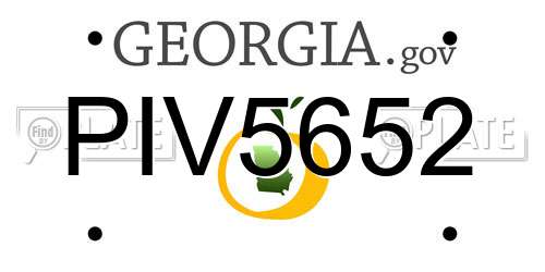 PIV5652 Georgia License Plate