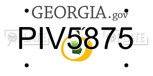 PIV5875 Georgia License Plate