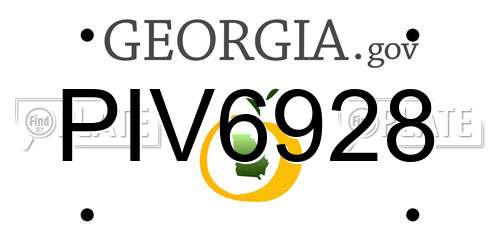PIV6928 Georgia License Plate