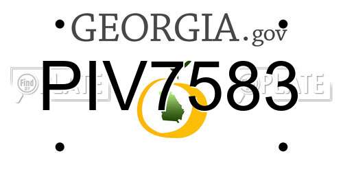 PIV7583 Georgia License Plate