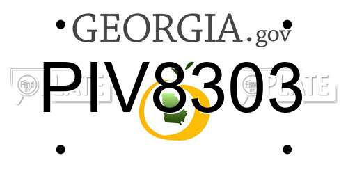 PIV8303 Georgia License Plate