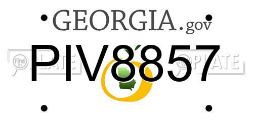 PIV8857 Georgia License Plate