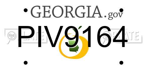 PIV9164 Georgia License Plate