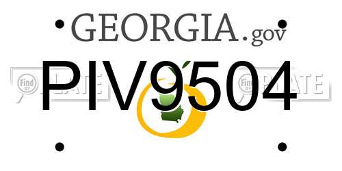 PIV9504 Georgia License Plate