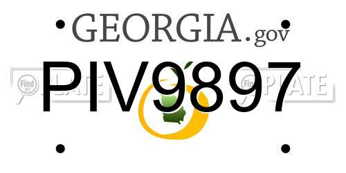 PIV9897 Georgia License Plate
