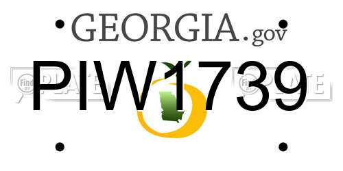 PIW1739 Georgia License Plate