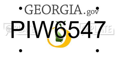 PIW6547 Georgia License Plate