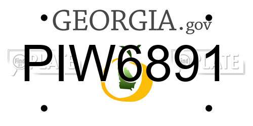 PIW6891 Georgia License Plate
