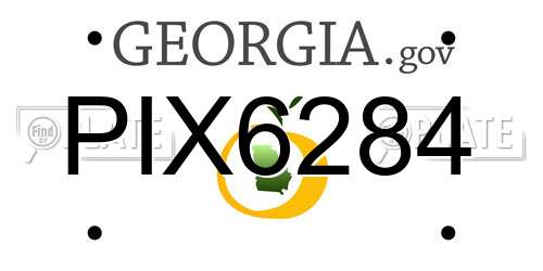 PIX6284 Georgia License Plate
