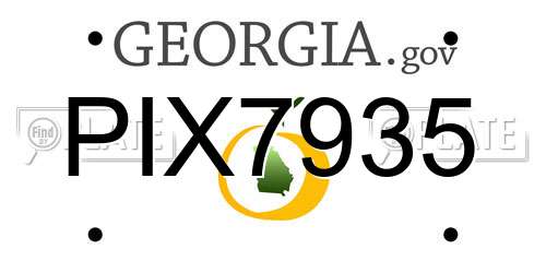 PIX7935 Georgia License Plate