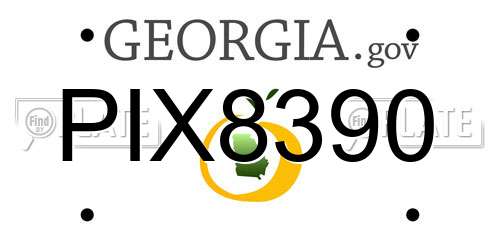 PIX8390 Georgia License Plate