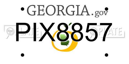 PIX8857 Georgia License Plate