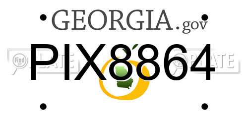 PIX8864 Georgia License Plate