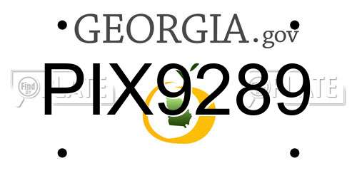 PIX9289 Georgia License Plate